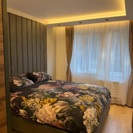 Forest Panorama Luxury